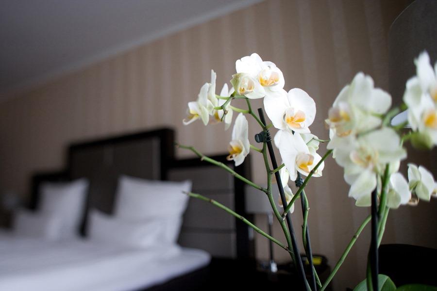 Top Hotel Kraemer Кобленц Номер фото